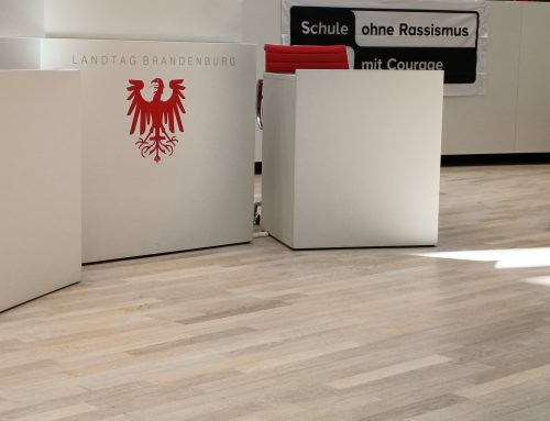 Schulsozialarbeitende mit Schulen beim Landestreffen von „Schule ohne Rassismus – Schule mit Courage“ in Potsdam